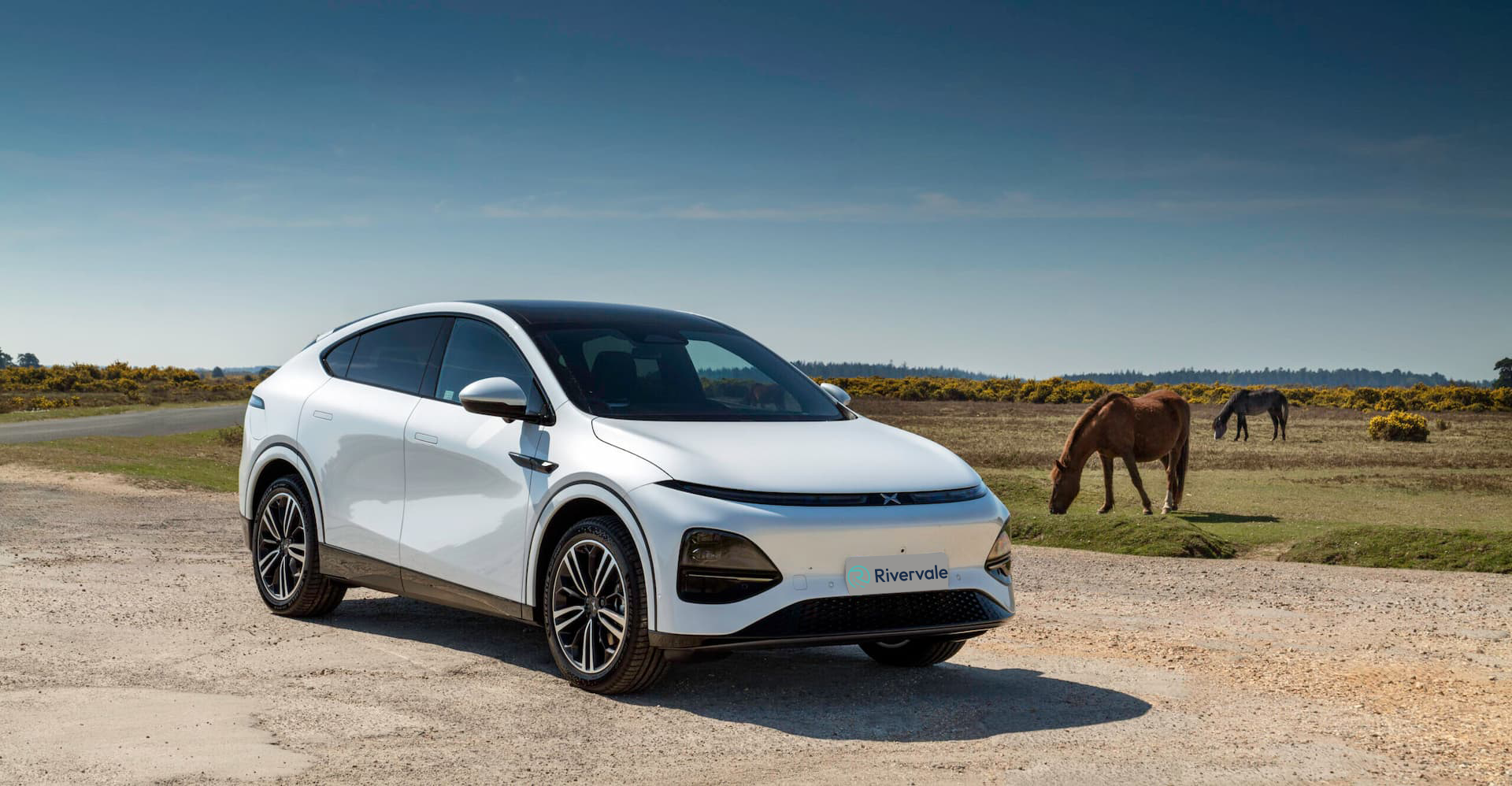 XPeng G6 vs Tesla Model Y: Which Electric SUV Is Right for You?